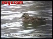 Swedish redhead teen takes black cock in ...