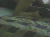 Wife Rides BBC