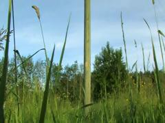 Outdoor Big Toy In My Tight Analhole
