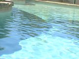 Sexy Outdoor Masturbation - FBA Publications