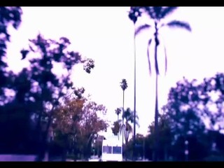 FLYING PINK PIG - Scene 1 - CAL VISTA