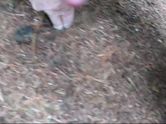 Ants By Bylting 2