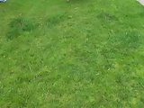 deux coquines et un chanceux
