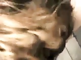 Erstes Anal