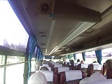 23 HORNY COCK OUT COACH & PLANE SHINY NYLON SHORTS