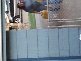 Spy: Anything u like about this latina milf? 6