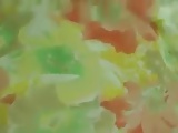 japanese pov045