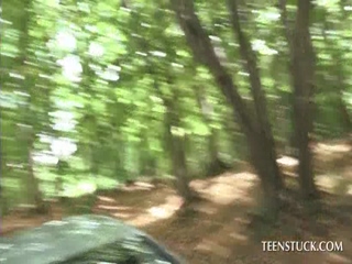 Cute brunette fucked on the car top in POV