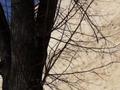 Enjoyable Chick Chocks On A Bulging Shaft During A Pickup