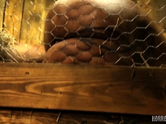 Horrorporn - Rabbit Hutch