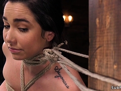 Hairy Babe Made Squirt In Hogtie