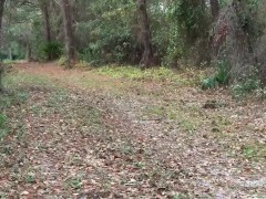 Belly Punch Woods of terror