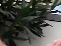 Flashing My Dick To Different Girls Outdoor