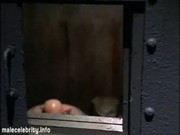 Evan seinfeld nude scene