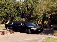 Black Swinger Couple Eases Their Nerves