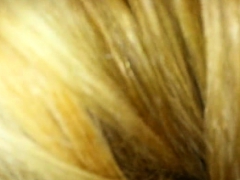 Blonde Milf Sucks A Big Cock Pov