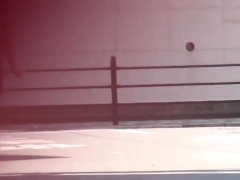 Asian Ho Pees On Road