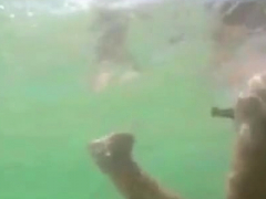 Real Bottlediving Near Public Beach