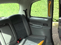 Fake Taxi Indian Marina Maya Big Ass Bounces