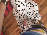 Spandex Blowjob by snahbrandy