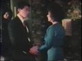 Peter North And Honey Wilder