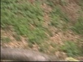 German chick takes on two dicks