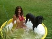 Washing The Dog