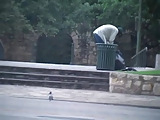Public sex - Amateur