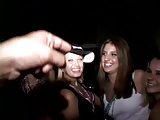 springbreak flashers2