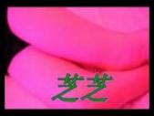 sexy hong kong girl 9