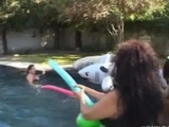 Chunky girl pool party
