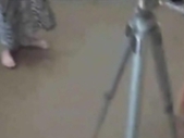 Innocent Teen Ass Damaged Hard