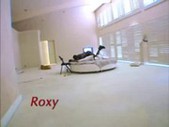 Roxy reynolds - phatty girls 7 (booty man)