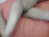 Desi Babe Sheela Fucked n creampied