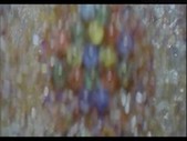 Movie22.net.Deep Contact ...