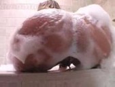 Lexi Love fucked till she squirts