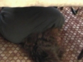 Elena Drunk Fucked