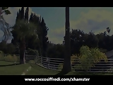 Girl In Fishnets Gets Treated Like a wild by Rocco Siffredi